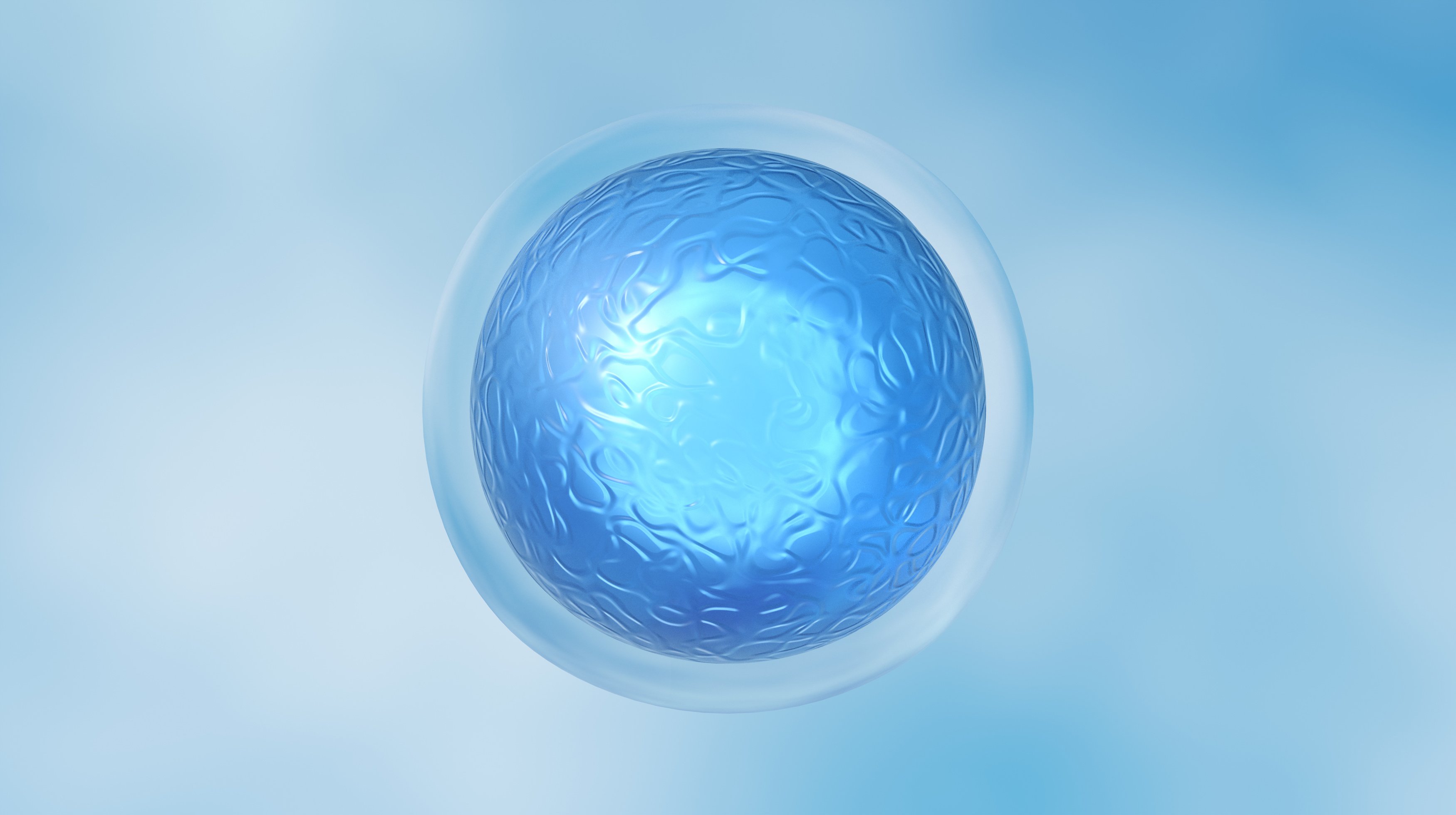 Embryonic stem cells